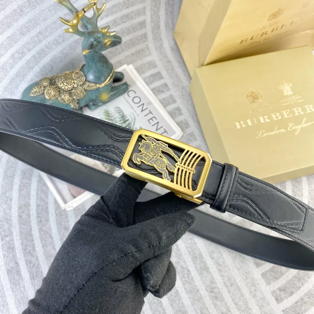 Belt product image